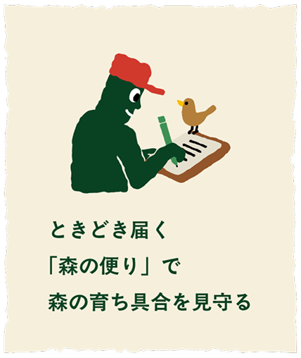 ときどき届く「森の便り」で森の育ち具合を見守る